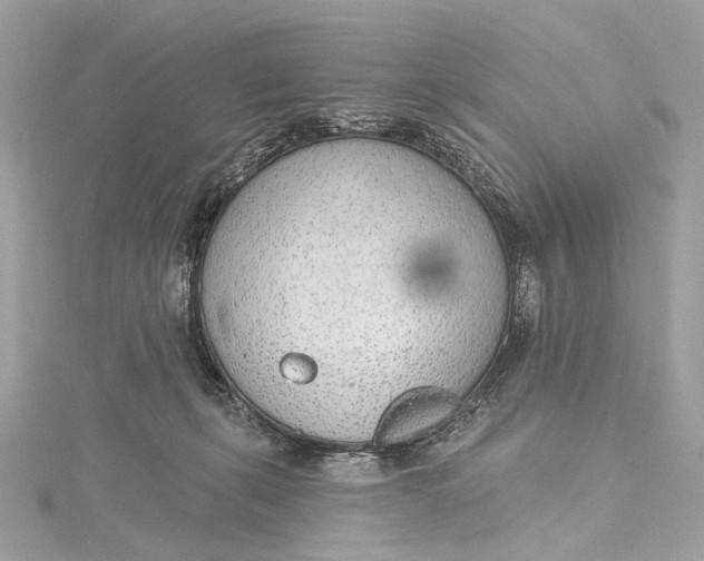 X0000115650271200912011528