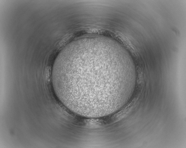 X0000115650273200912011528