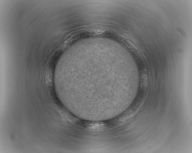 X0000115650274200912011528