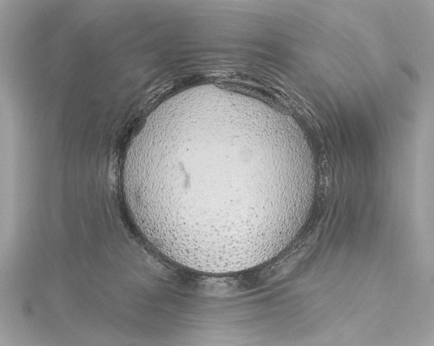 X0000115650277200912011528