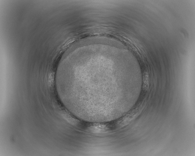 X0000115650278200912011528