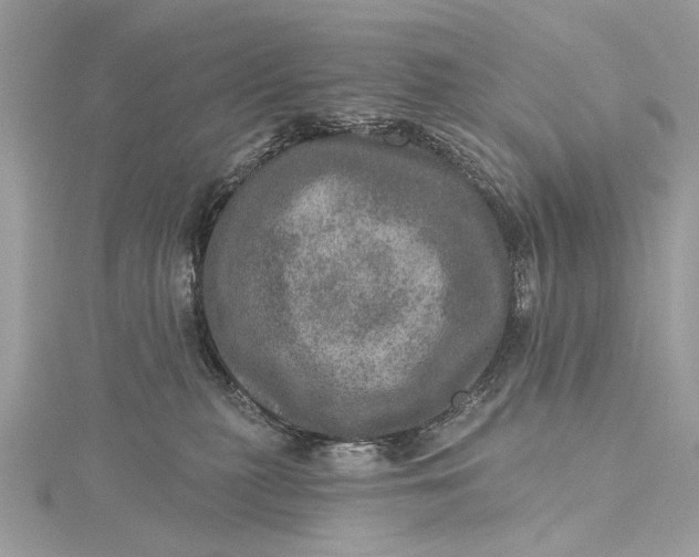 X0000115650279200912011528