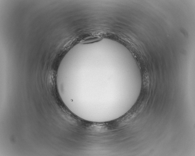 X0000115650280200912011528