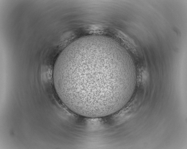 X0000115650281200912011529