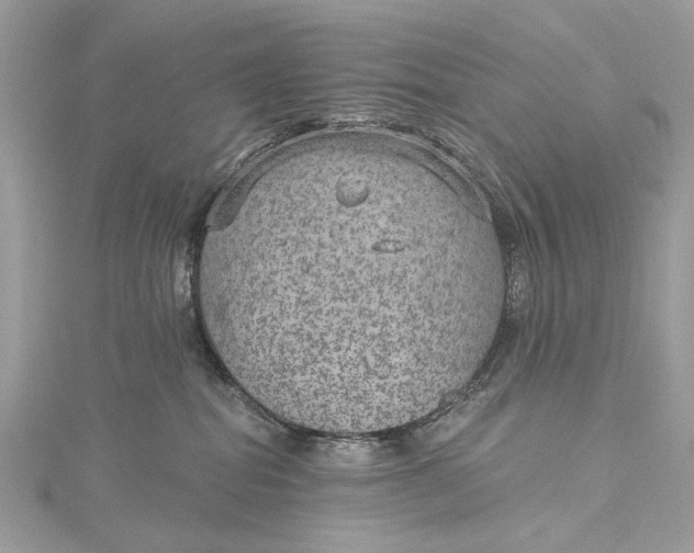 X0000115650282200912011529