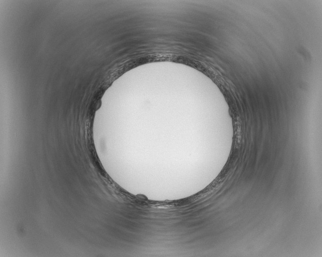 X0000115650283200912011529