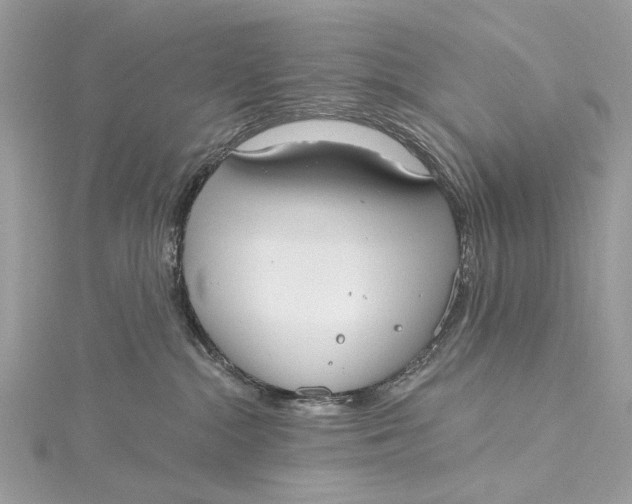 X0000115650284200912011529