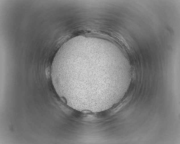 X0000115650285200912011529