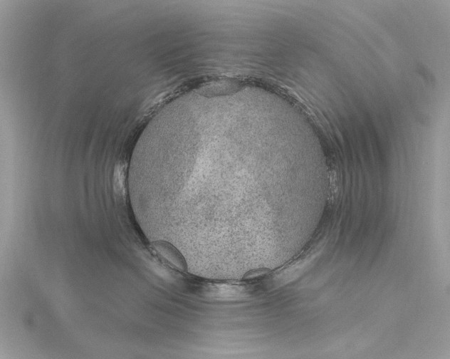 X0000115650286200912011529