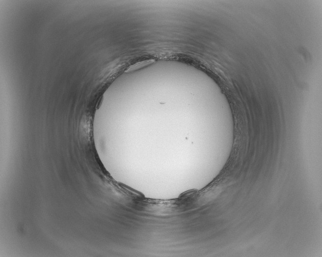 X0000115650288200912011529