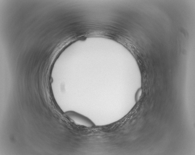 X0000115650289200912011528