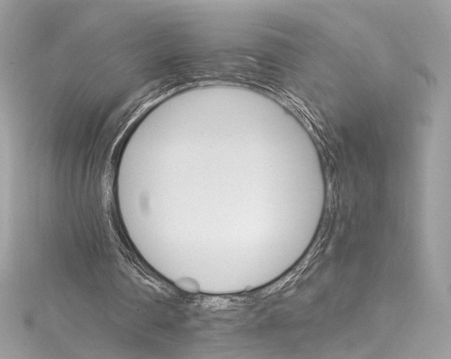 X0000115650290200912011528