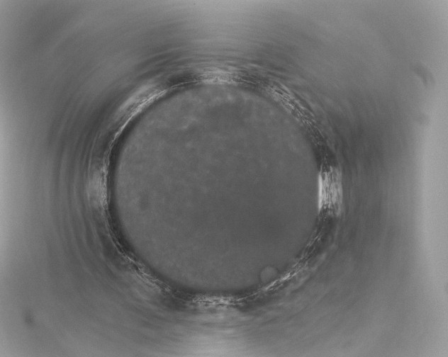 X0000115650291200912011528