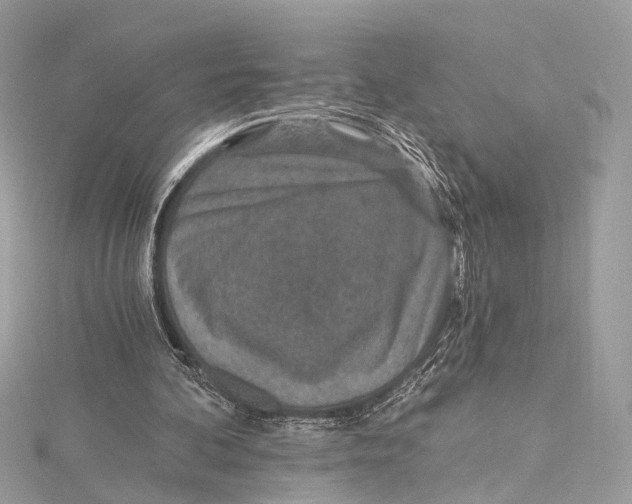 X0000115650292200912011528