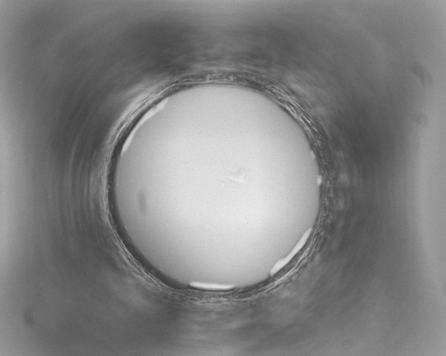 X0000115650293200912011528