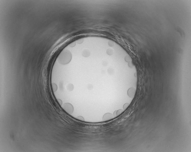 X0000115650295200912011528