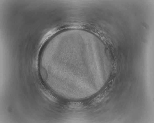 X0000115650296200912011528