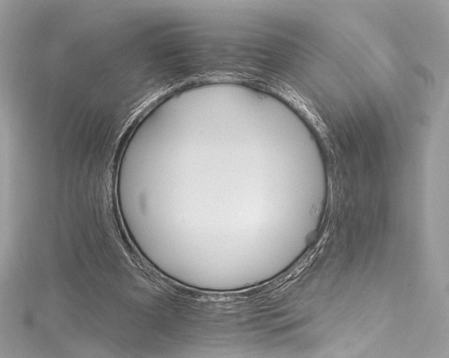 X0000115650297200912011528