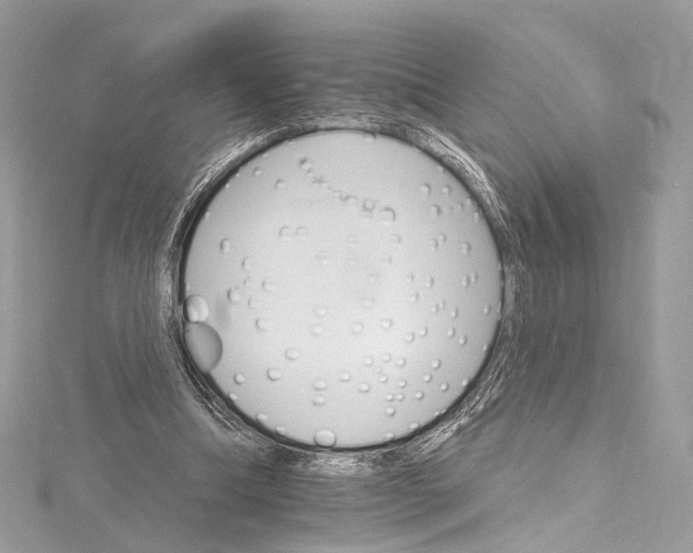 X0000115650298200912011528