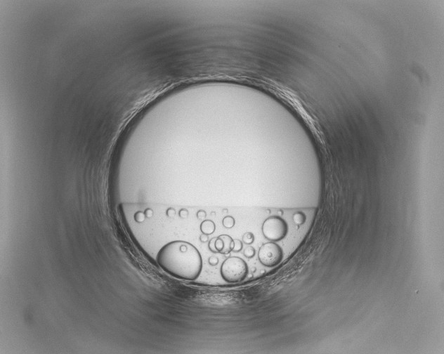 X0000115650299200912011528