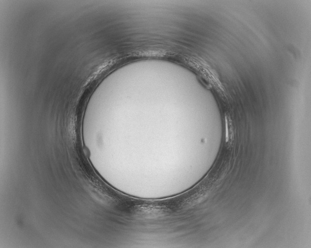 X0000115650300200912011528