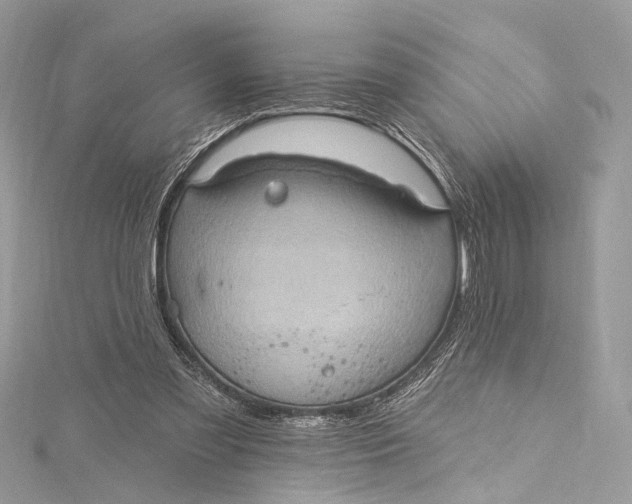 X0000115650301200912011528