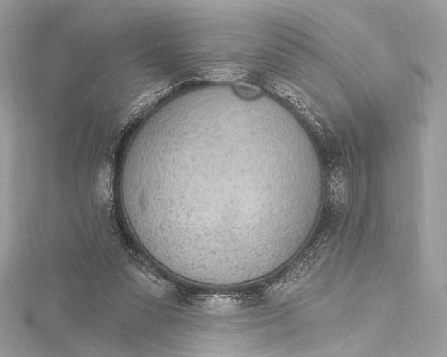 X0000115650303200912011528