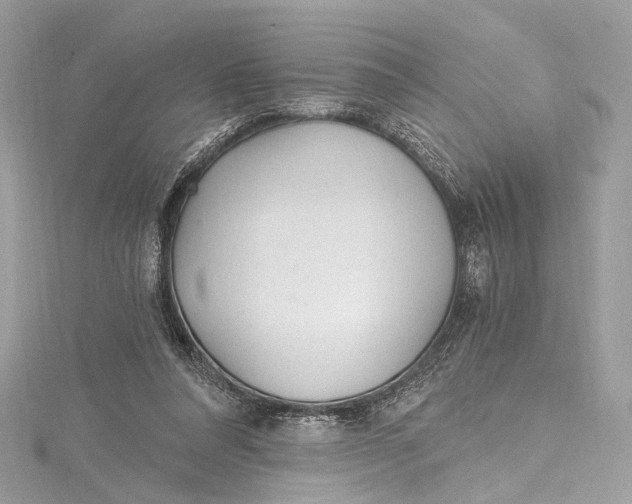 X0000115650304200912011528