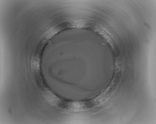 X0000115650305200912011528