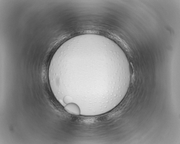 X0000115650306200912011528