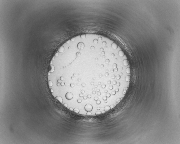 X0000115650307200912011528