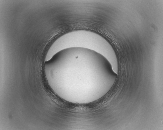 X0000115650308200912011528