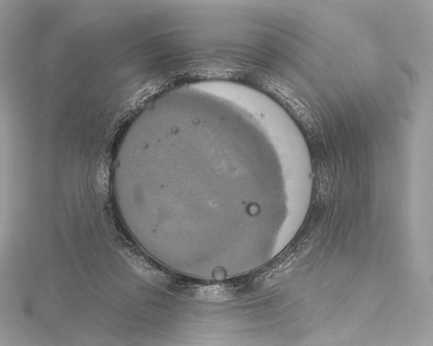 X0000115650309200912011528