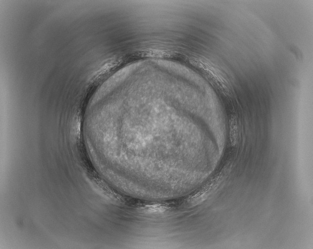 X0000115650310200912011528