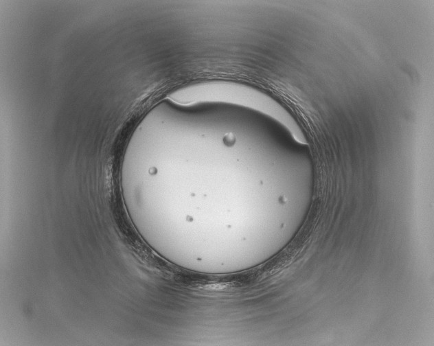 X0000115650312200912011528