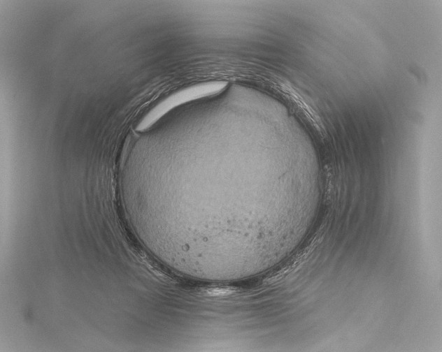 X0000115650313200912011528