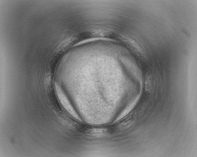 X0000115650314200912011527