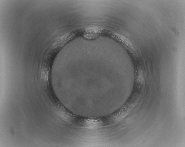 X0000115650315200912011527