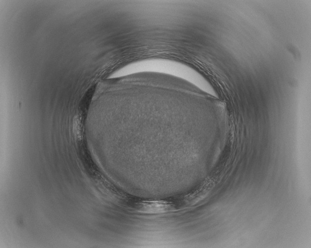 X0000115650316200912011527