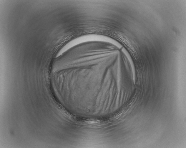 X0000115650317200912011527