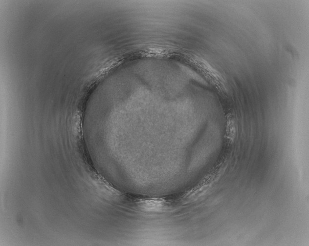 X0000115650318200912011527