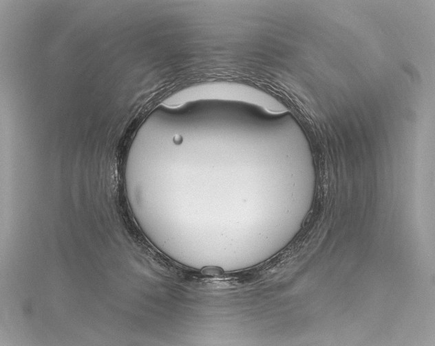 X0000115650320200912011527