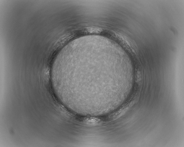 X0000115650321200912011527