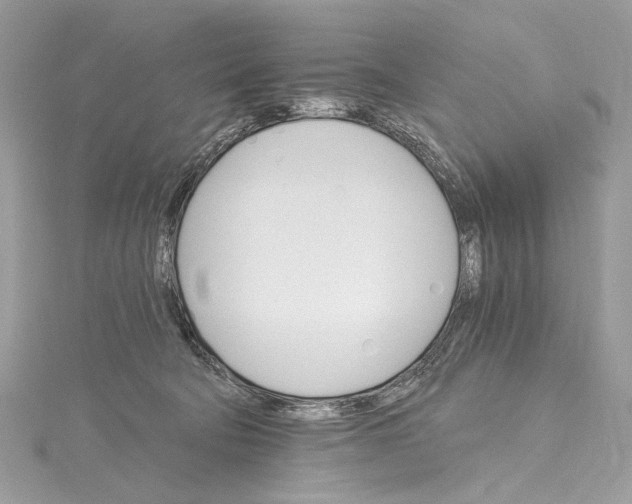 X0000115650322200912011527