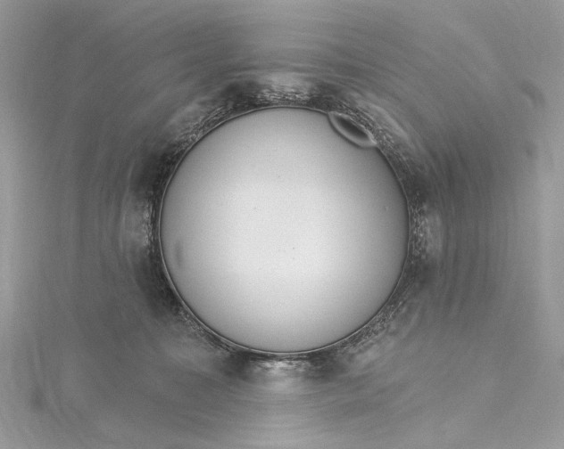 X0000115650323200912011527