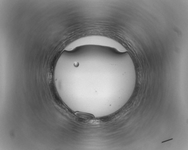 X0000115650324200912011527