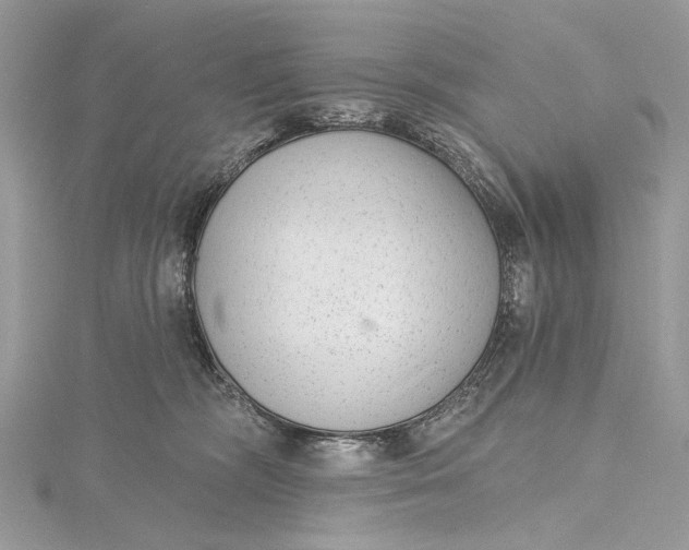 X0000115650326200912011527