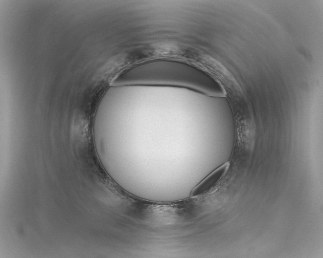 X0000115650327200912011527