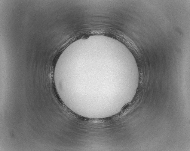 X0000115650329200912011527