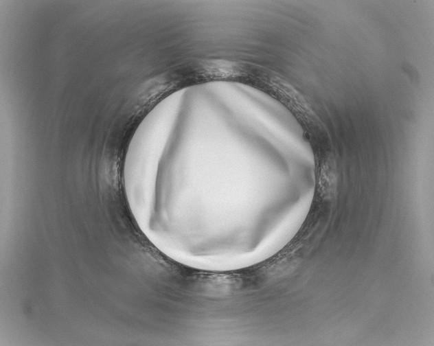 X0000115650330200912011527